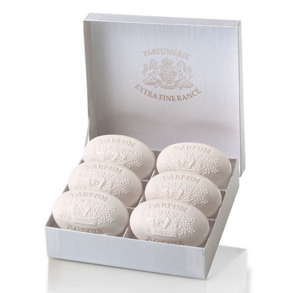 Acacia_800x600.png?v=1560296392